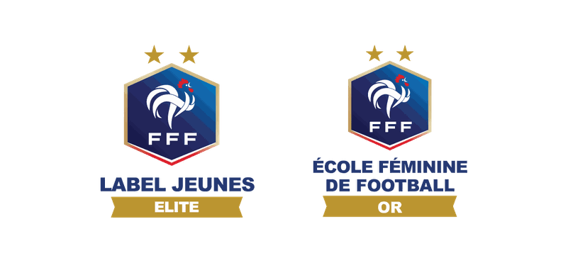 Odoo • Texte et Image