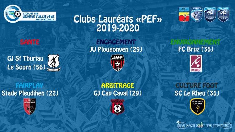 Odoo • Texte et Image